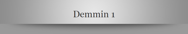 Demmin 1