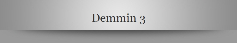 Demmin 3